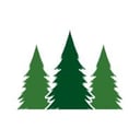 Pine Services Group Logo