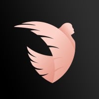 Angel City Logo
