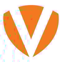 Verity IT Logo