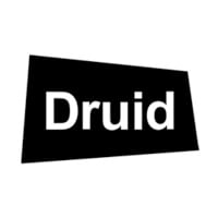 Druid Software Logo