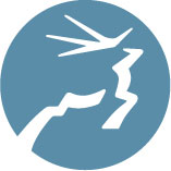 https://cdn.builtin.com/cdn-cgi/image/f=auto,fit=scale-down,w=200,h=200/https://builtincolorado.com/sites/www.builtincolorado.com/files/company_logos/elk-icon.jpg Logo