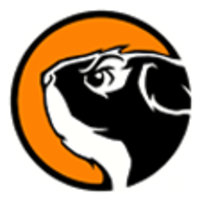 Streamline Studios Logo