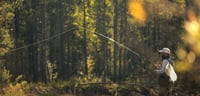 Orvis Logo