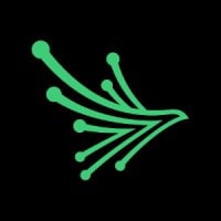 Black Kite Logo