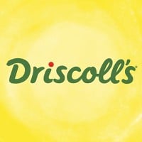 https://cdn.builtin.com/cdn-cgi/image/f=auto,fit=scale-down,w=200,h=200/sites/www.builtin.com/files/2022-10/Driscoll%27S.jpg Logo