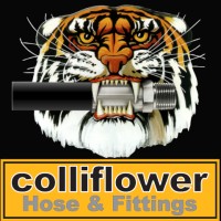 https://cdn.builtin.com/cdn-cgi/image/f=auto,fit=scale-down,w=200,h=200/sites/www.builtin.com/files/2022-12/Colliflower%20Inc.jpg Logo