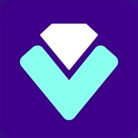 Voldex Logo