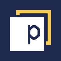 Panaseer Logo