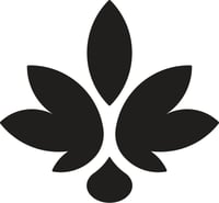 Salve Logo