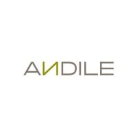 Andile Logo