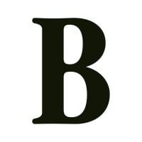 Brain Co. Logo