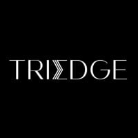 TriEdge Investments Logo