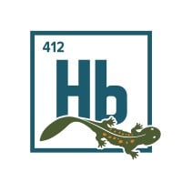 Hellbender Inc. Logo