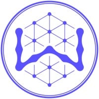 WisdomAI Logo