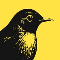 https://cdn.builtin.com/cdn-cgi/image/f=auto,fit=scale-down,w=200,h=200/sites/www.builtin.com/files/2025-10/b%C3%AFrch%20%28ex%20Revealbot%29.jpg Logo