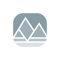 DM Vans Logo