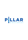 Pillar Biosciences, Inc. Logo