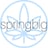 springbig Logo