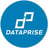 Dataprise Logo