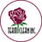 Team Clean, Inc. Logo