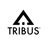TRIBUS Logo