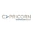 Capricorn Investment Group Logo