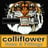 Colliflower Inc Logo