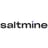 Saltmine Logo