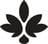 Salve Logo