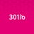 301io Logo