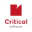 Critical Software Logo
