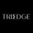 TriEdge Investments Logo