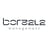 Boreala Management Logo