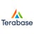 Terabase Energy Logo