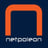 Netpoleon Solutions Philippines Logo