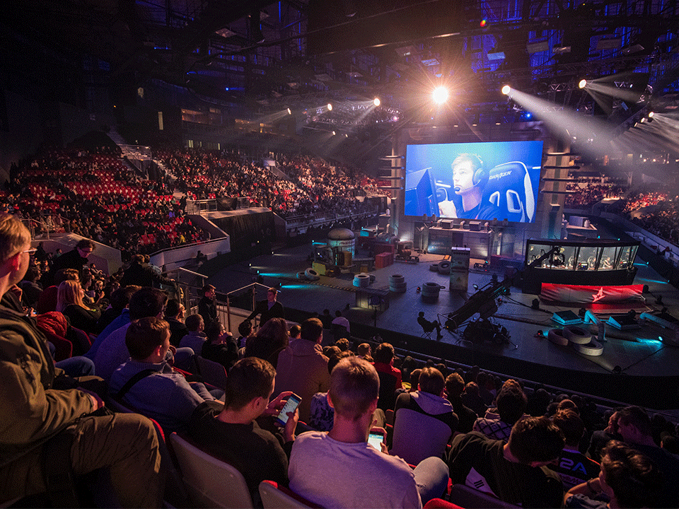 Live Gaming Experience