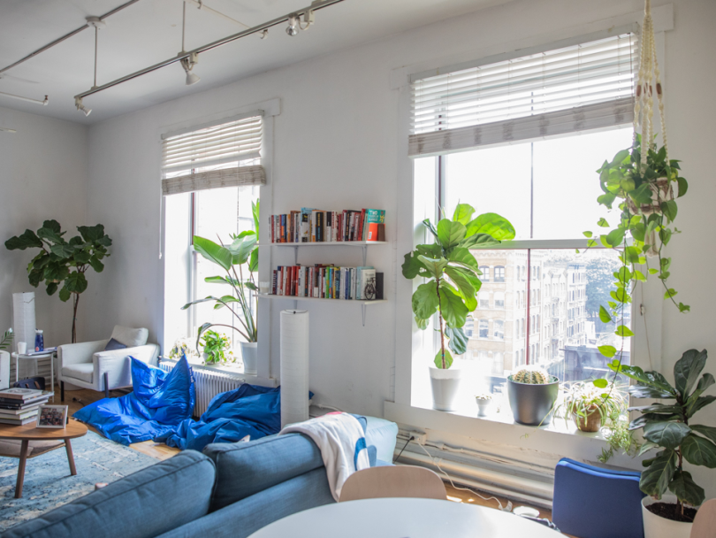 cedar offices