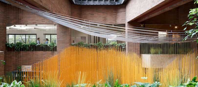 airbnb new seattle office central atrium
