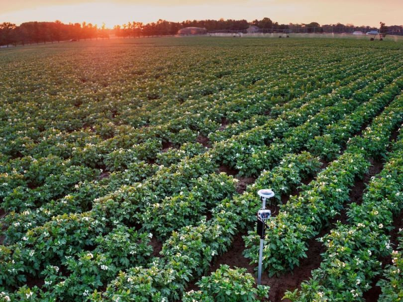 A photo of Arable's sensors at work in the field.