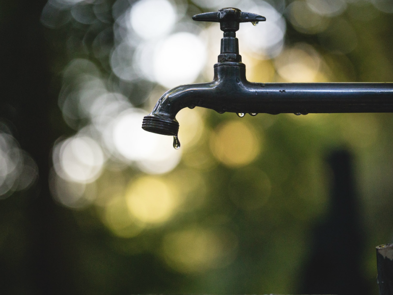 Banyan Water