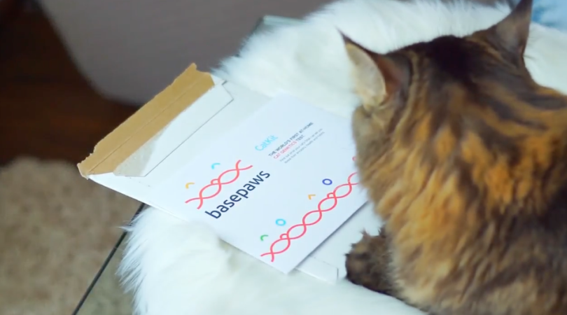 basepaws healthtech pettech startup los angeles redondo beach