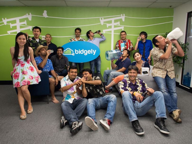 Bidgely Mountain View IT Companies