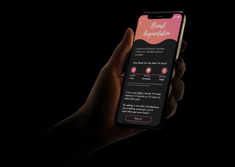 Bliss is a financial planning app designed for the trans community