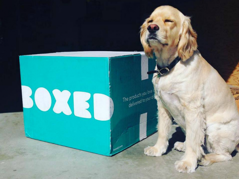 boxed
