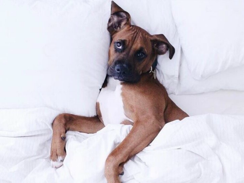 Brooklinen