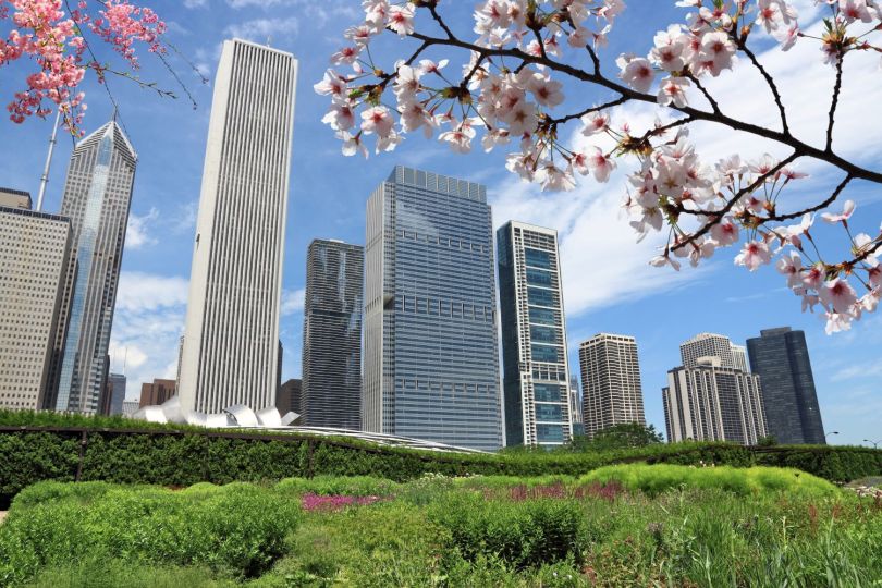 chi