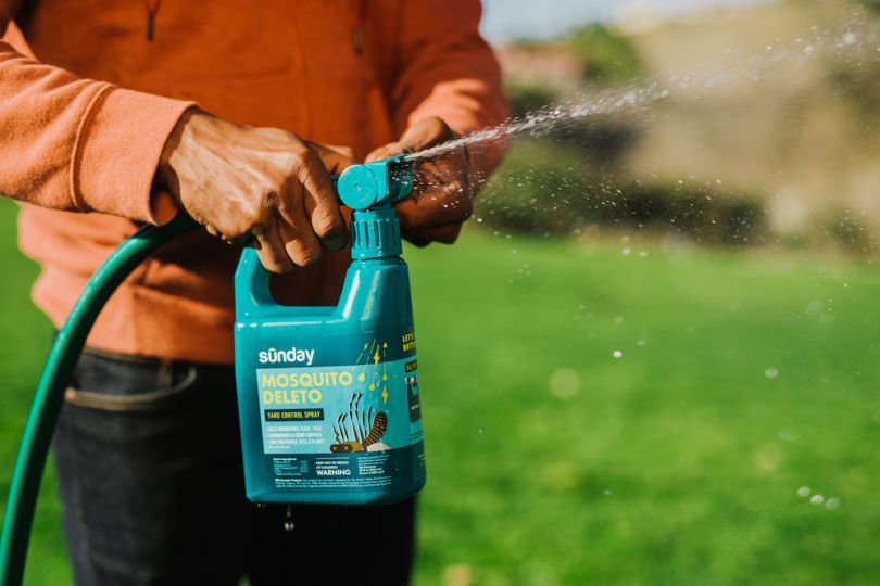 sunday lawn care