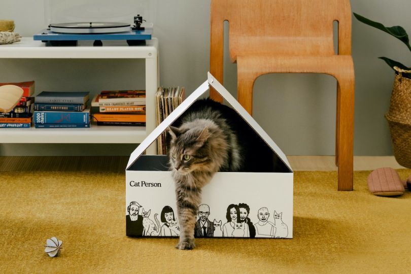 NYC-based Cat Person is open for business, backed by Harry's Labs