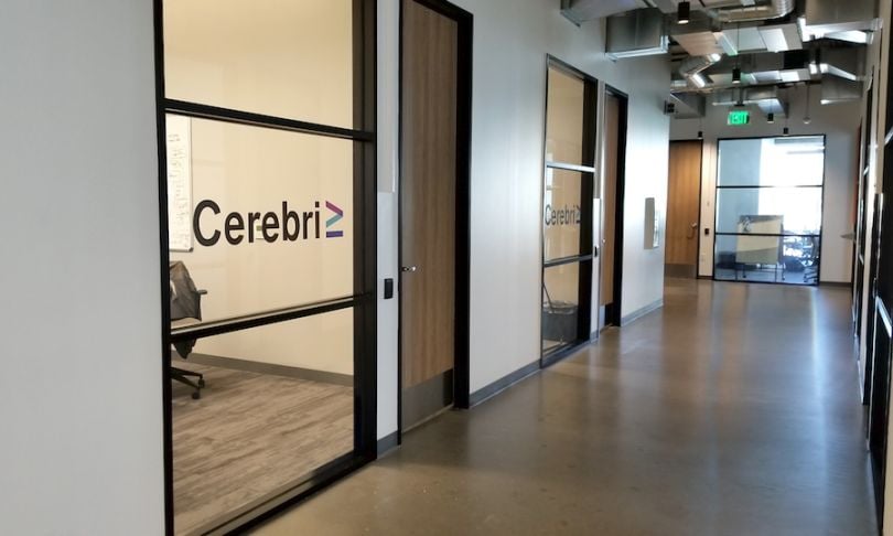 cerebri