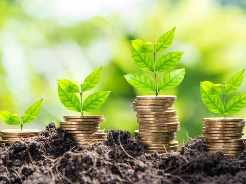 Coinseed cryptocurrency investment app